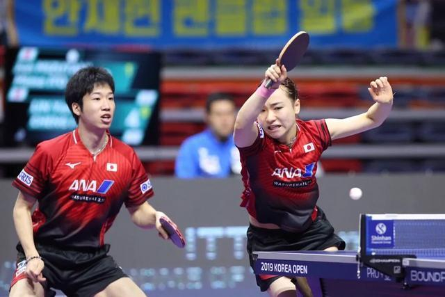 瑞典队横扫法国队，许昕惊艳四座的简单介绍