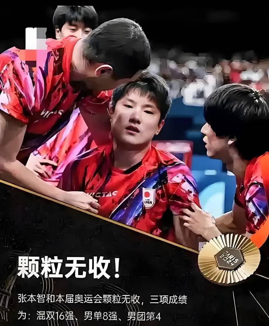 中国队碾压法国队，张本智和关键制胜的简单介绍