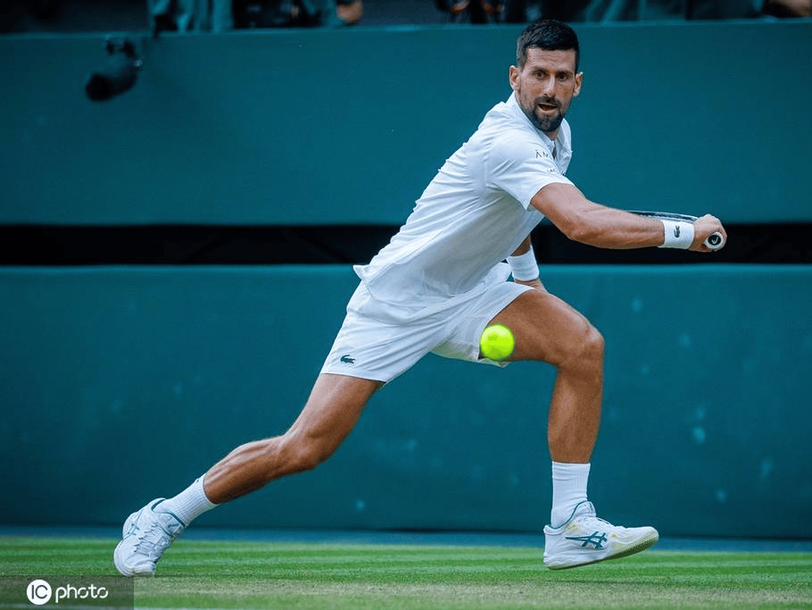 年终总决赛鏖战拉沃尔杯，德约科维奇状态火热的简单介绍