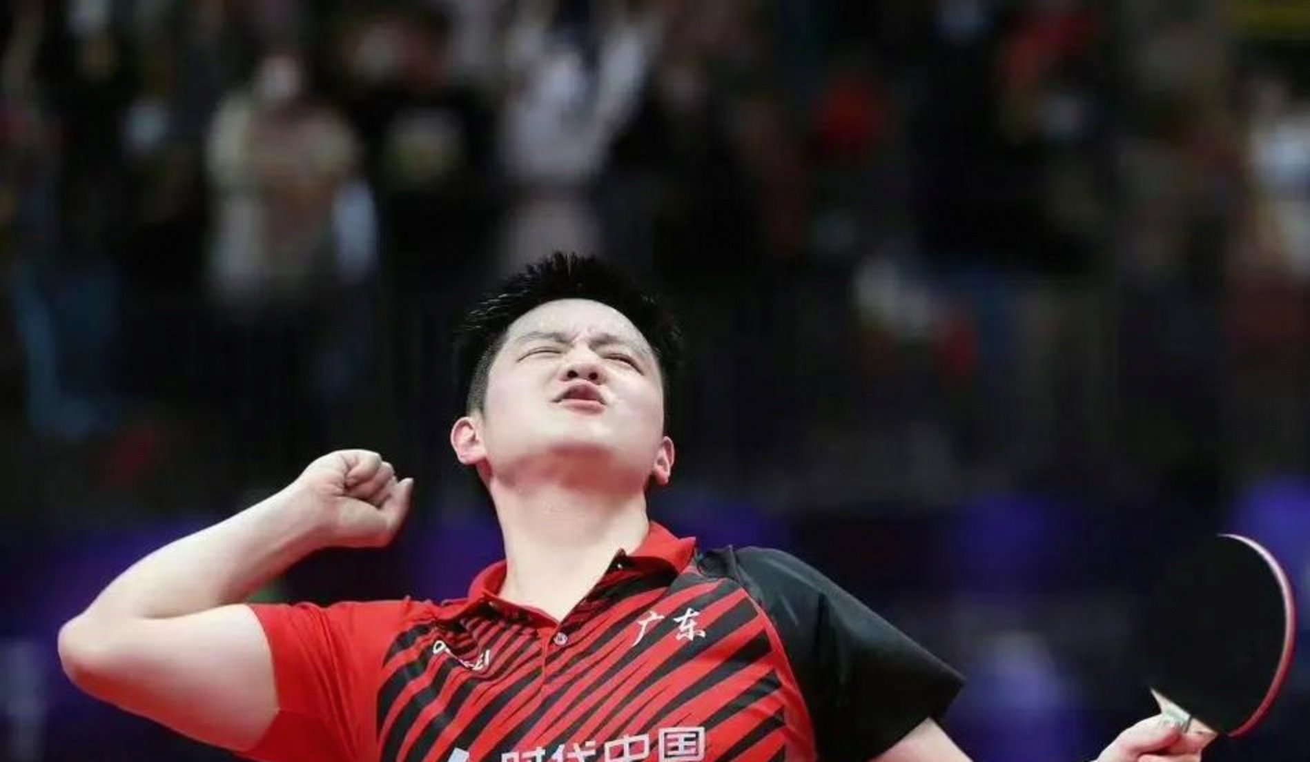 英格兰队险胜日本队,樊振东高光表现 英格兰队险胜日本队,樊振东高光表现