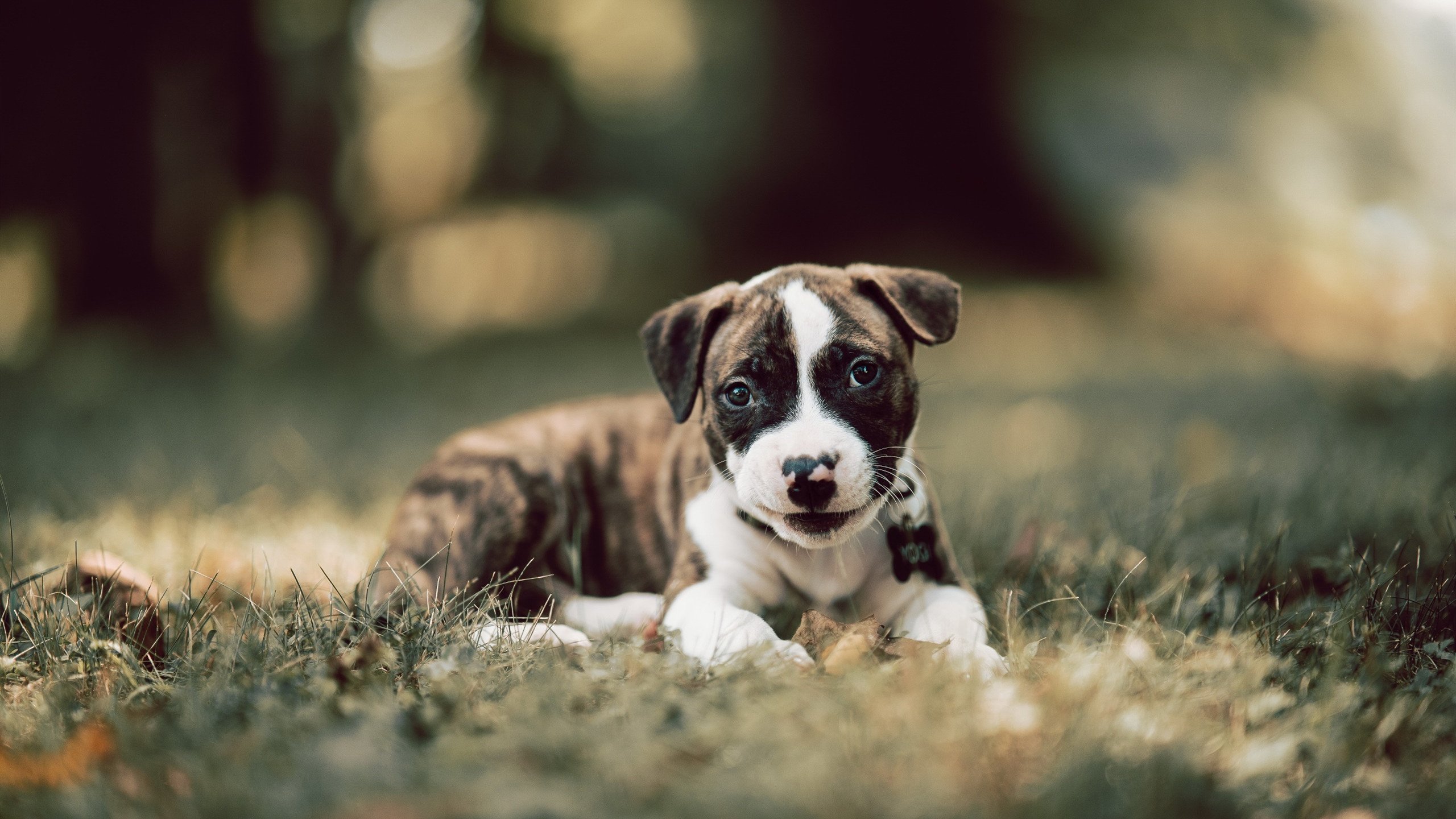 商业比赛成生死战？乔治绝杀背后，上海男篮露出了狰狞獠牙